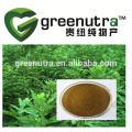 Aiye Leaf Extract powder